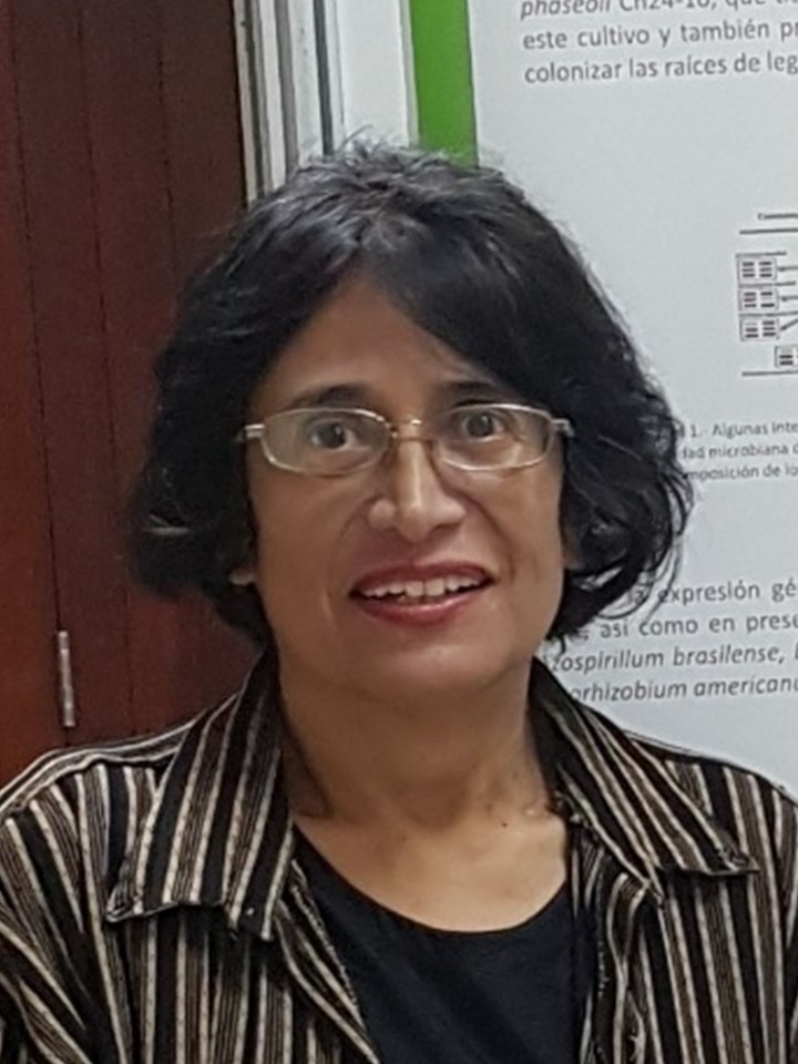 Fotografía